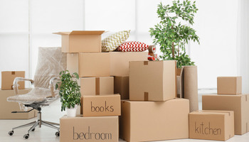 pindah-rumah-lorisewamelaka